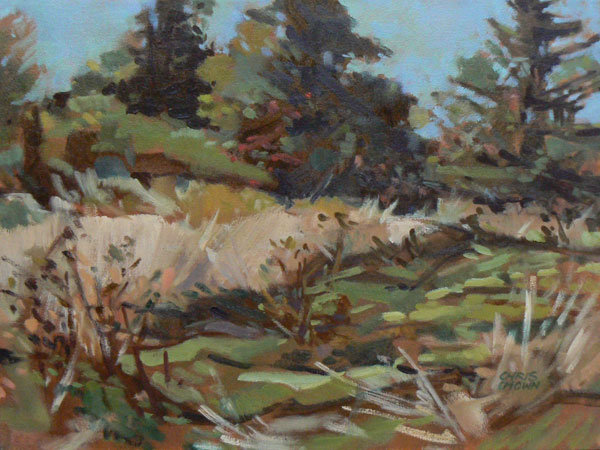 Grassy Road   -   oils/canvas   (12 x 16)